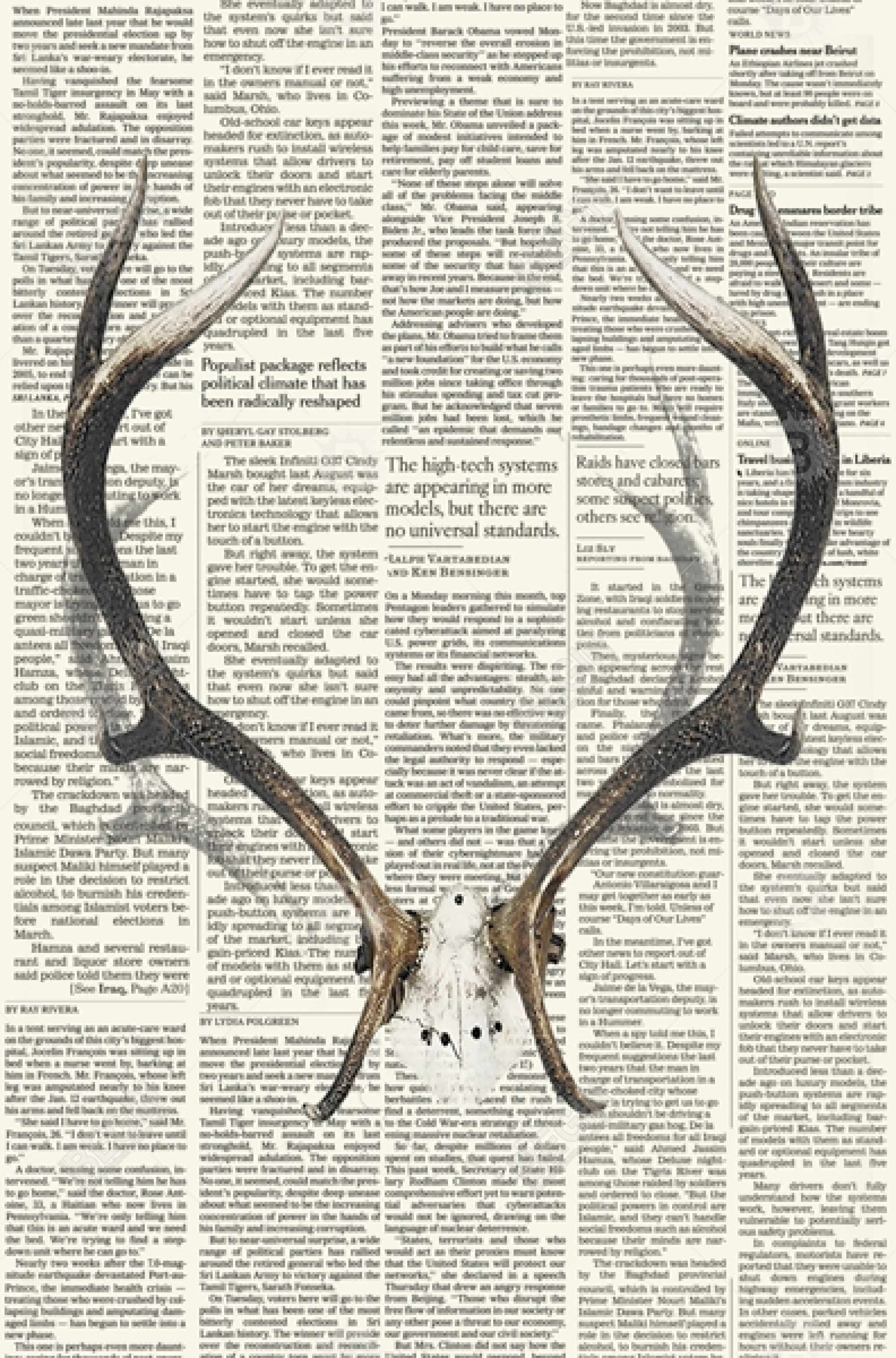 Deer horns with newspaper