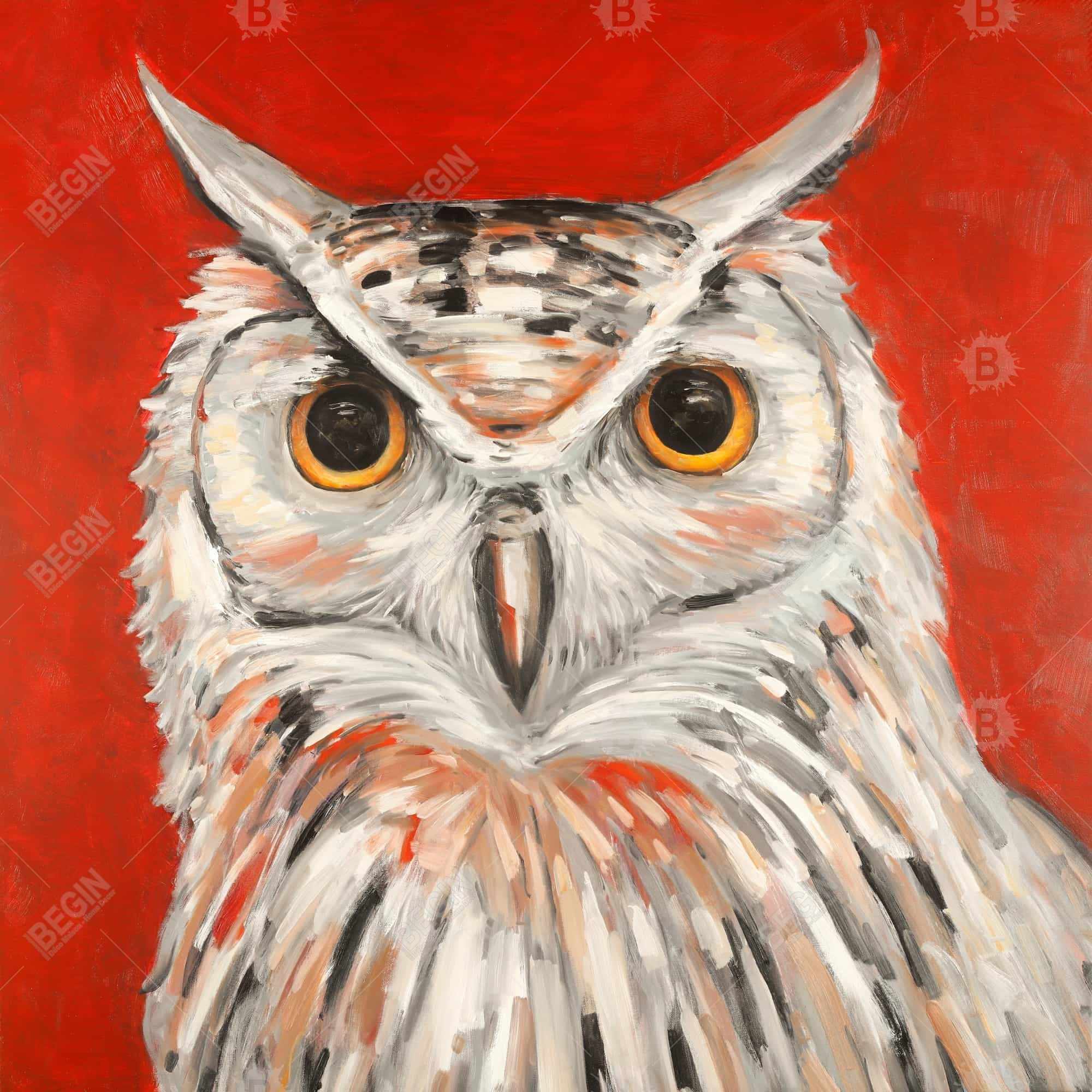Colorful eagle owl