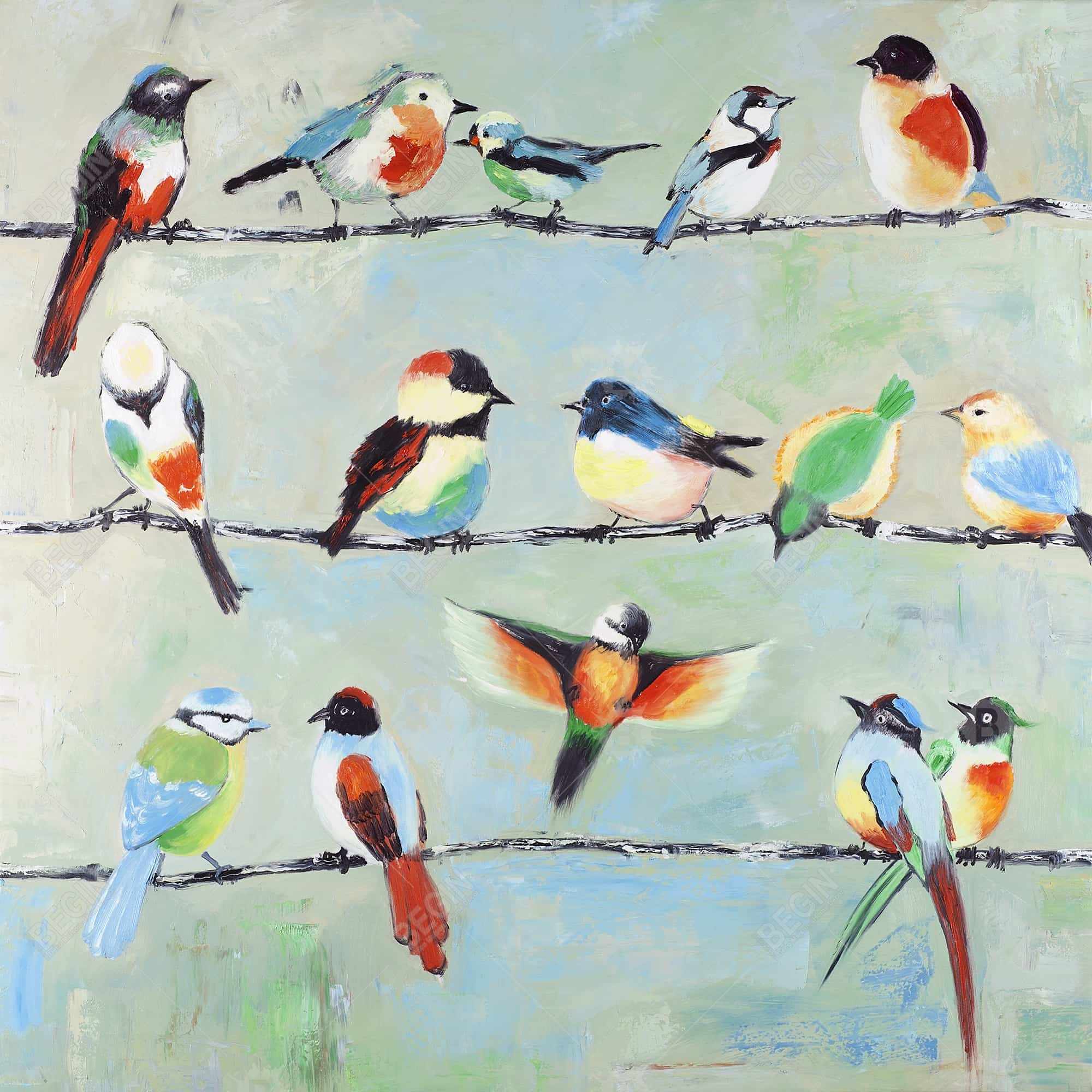 Small abstract colorful birds