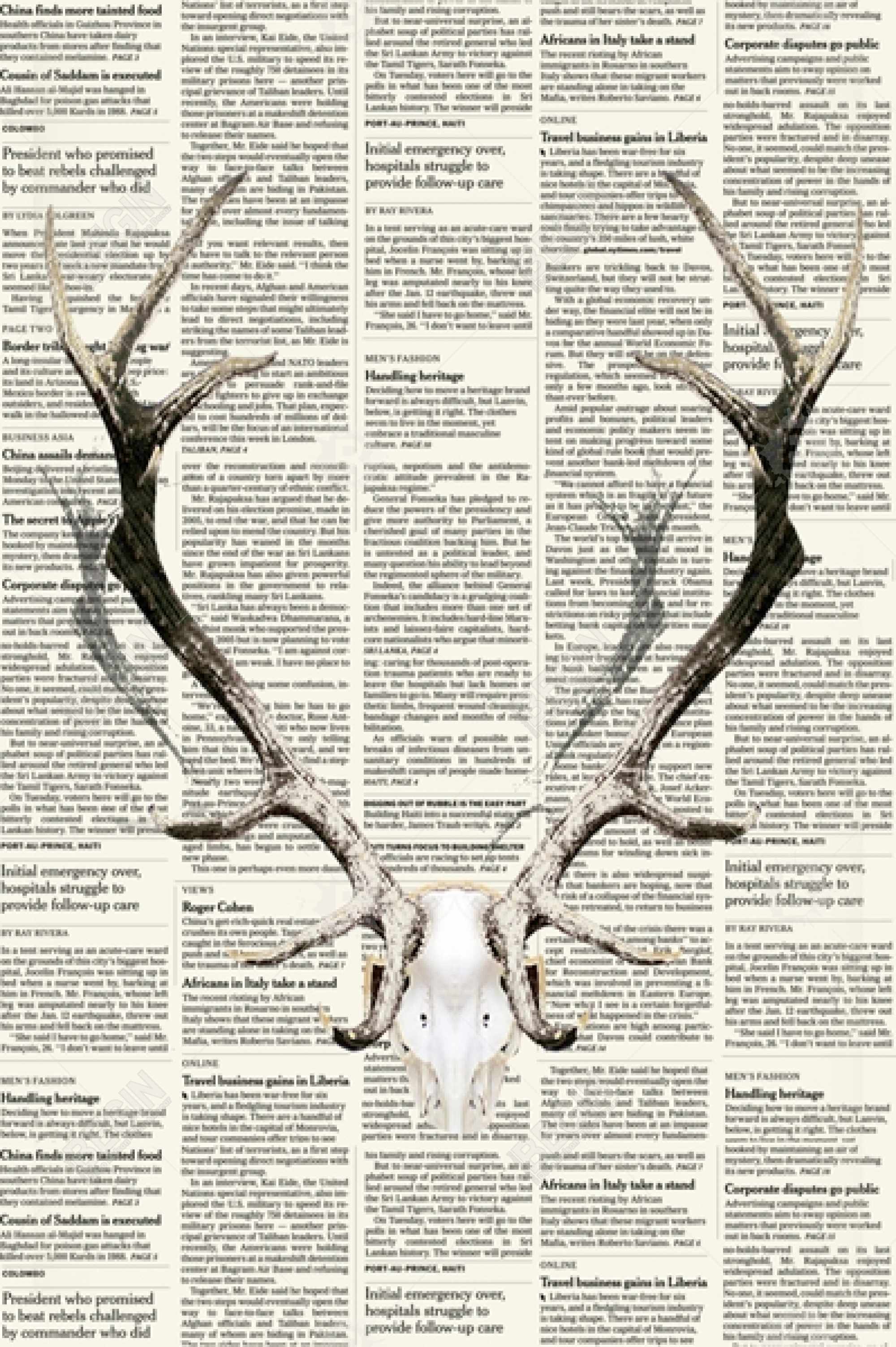 Deer horns on newspaper