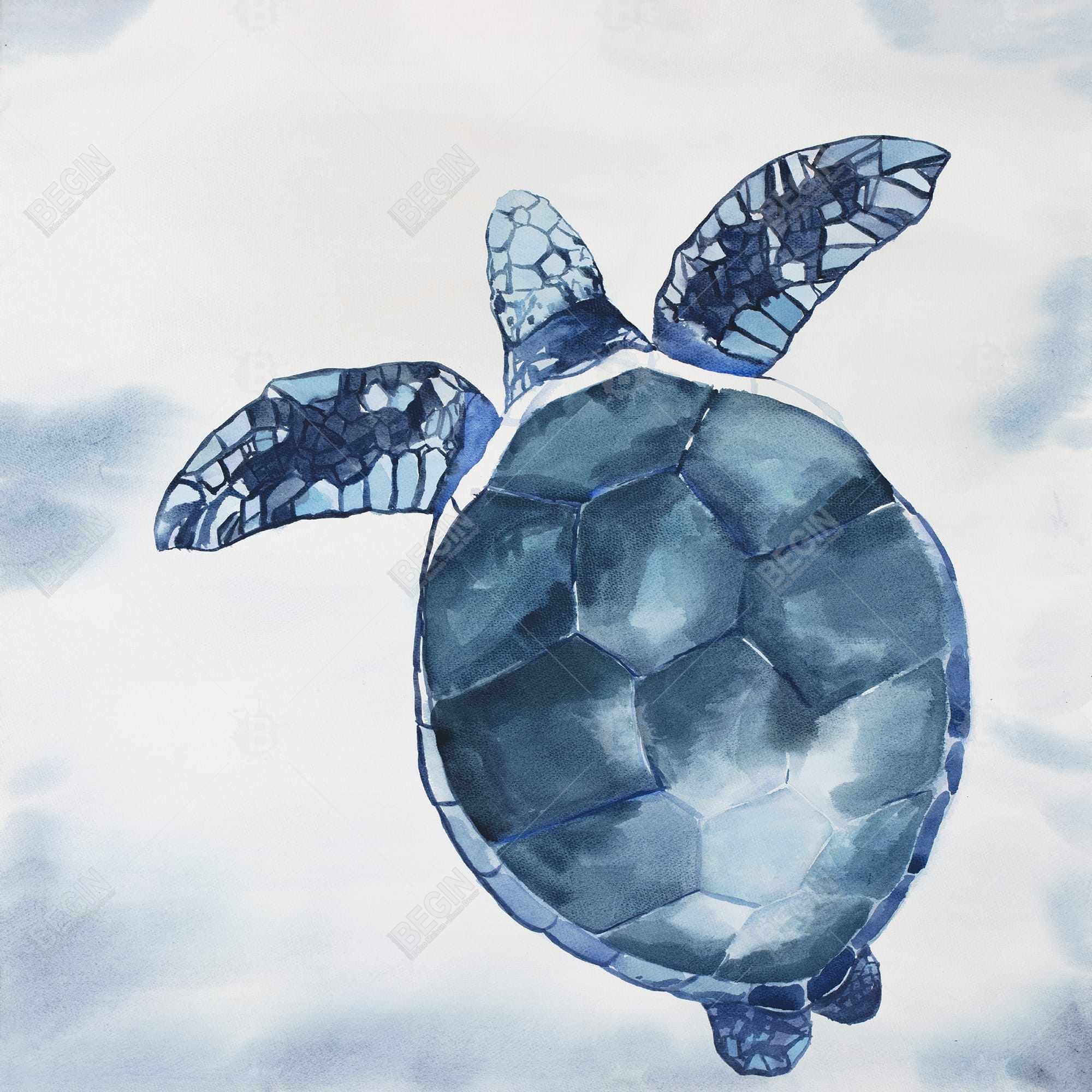 Watercolor blue turtle