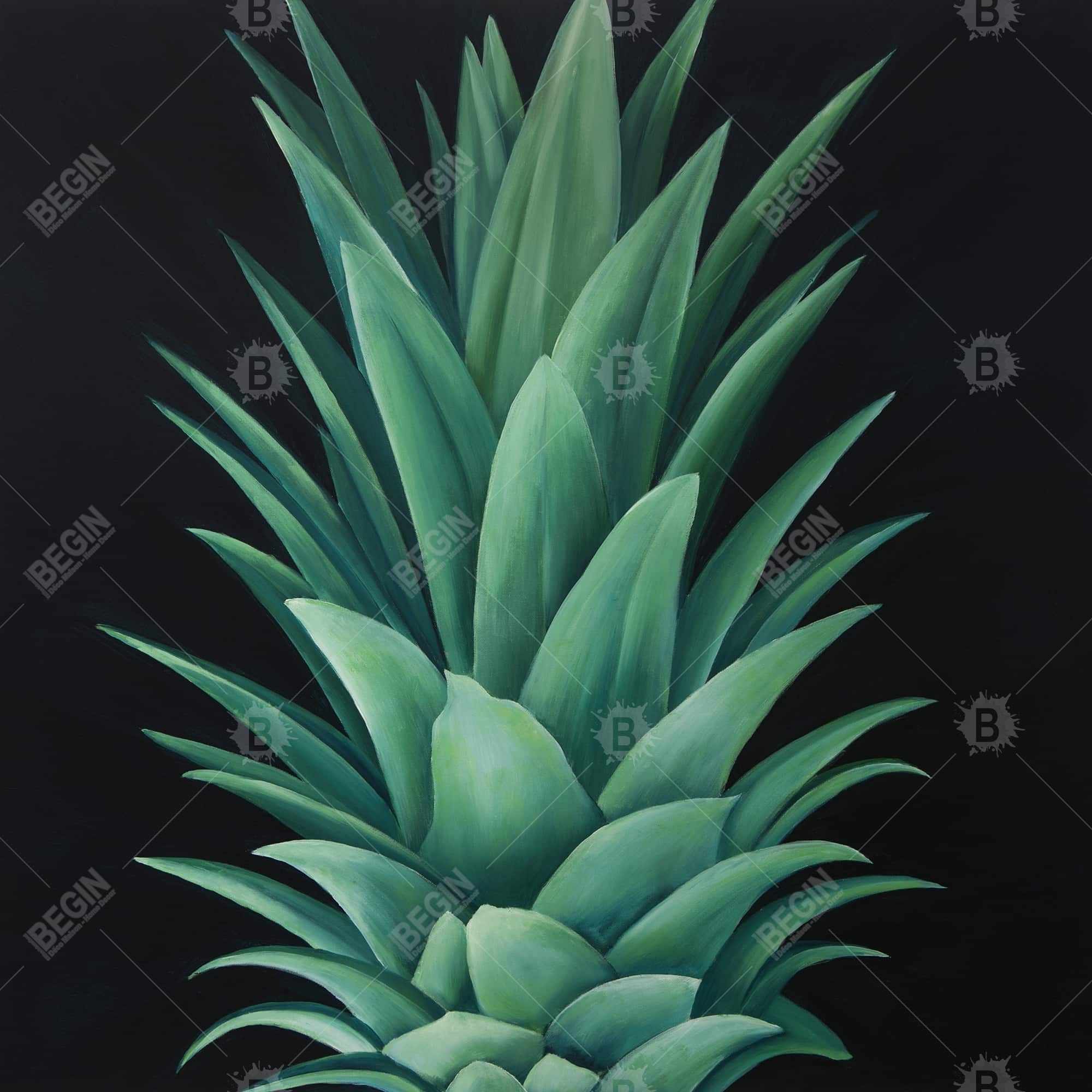 Pineapple leaves