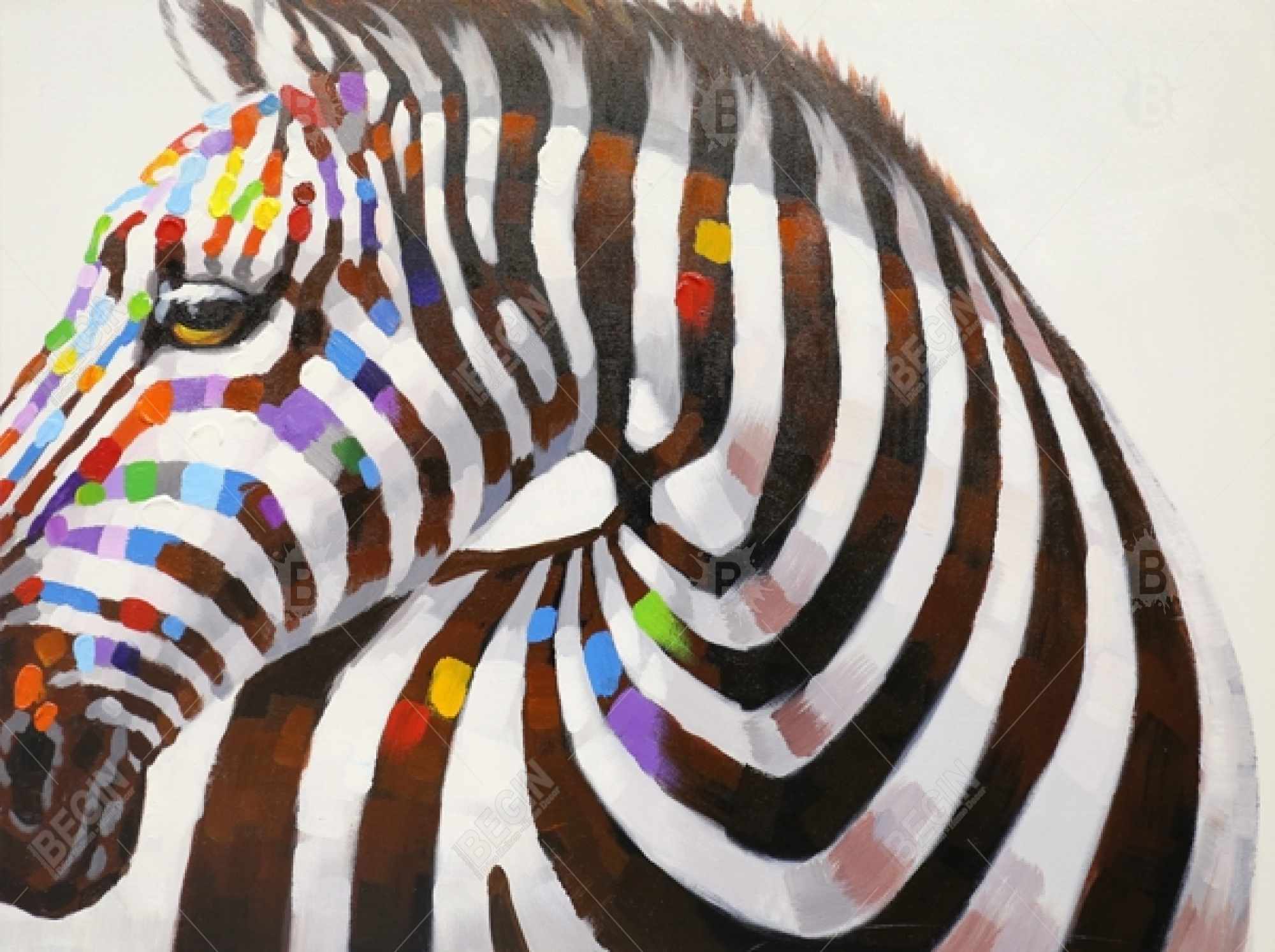 Colorful zebra