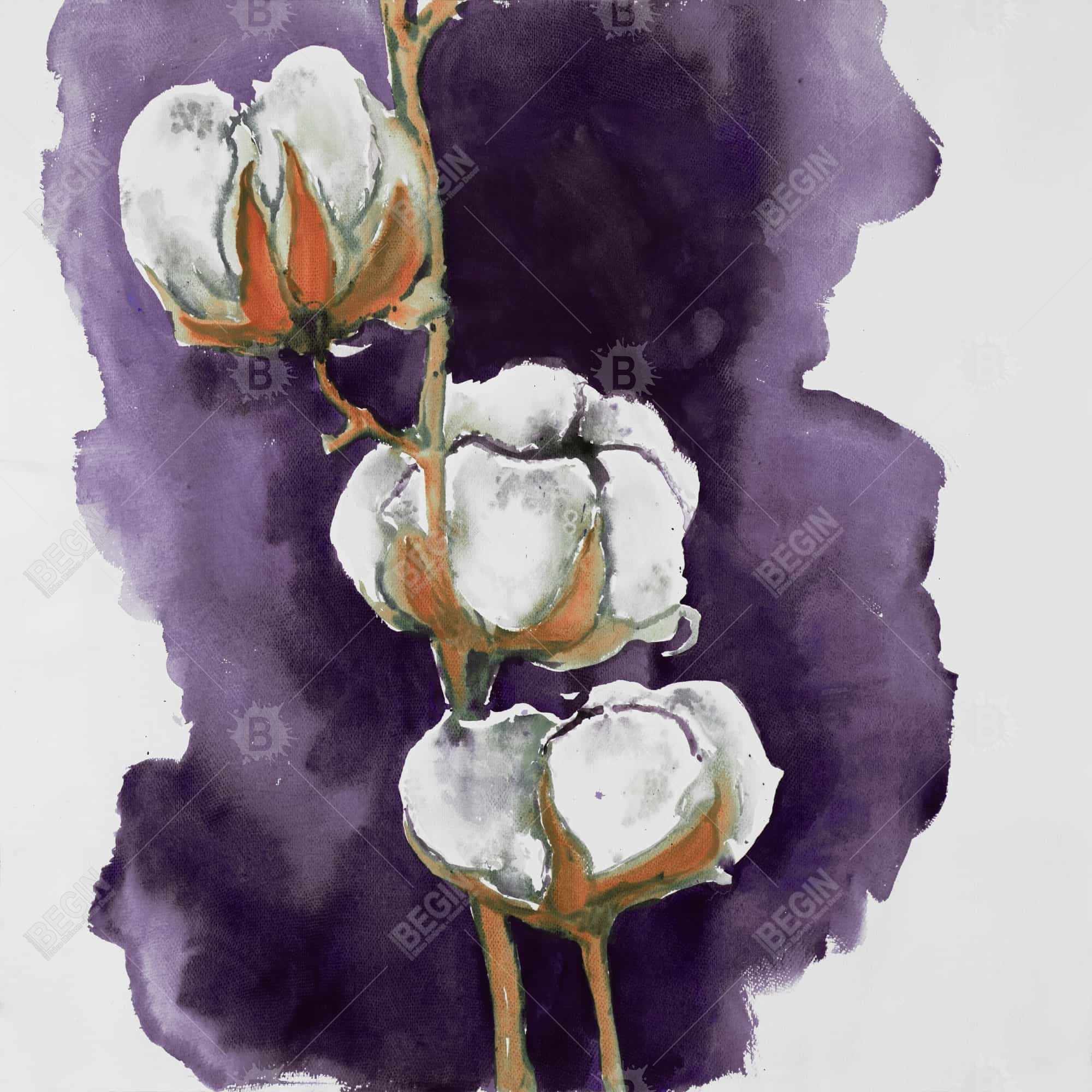 Watercolor purple cotton flowers