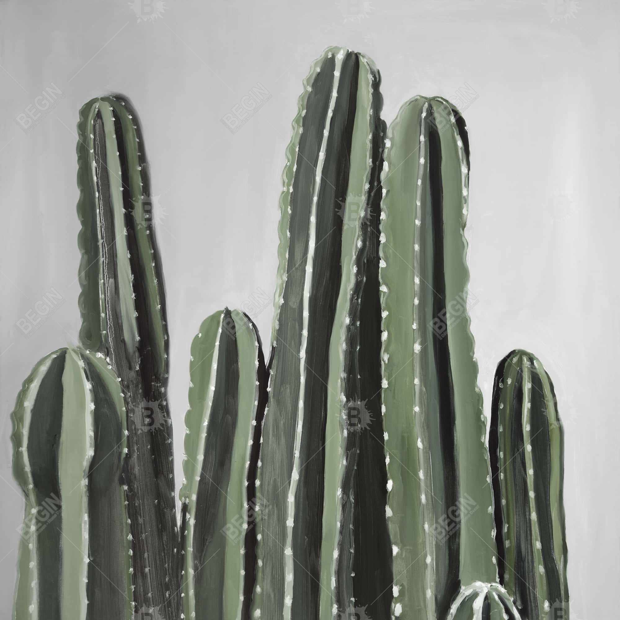 Desert candle cactus