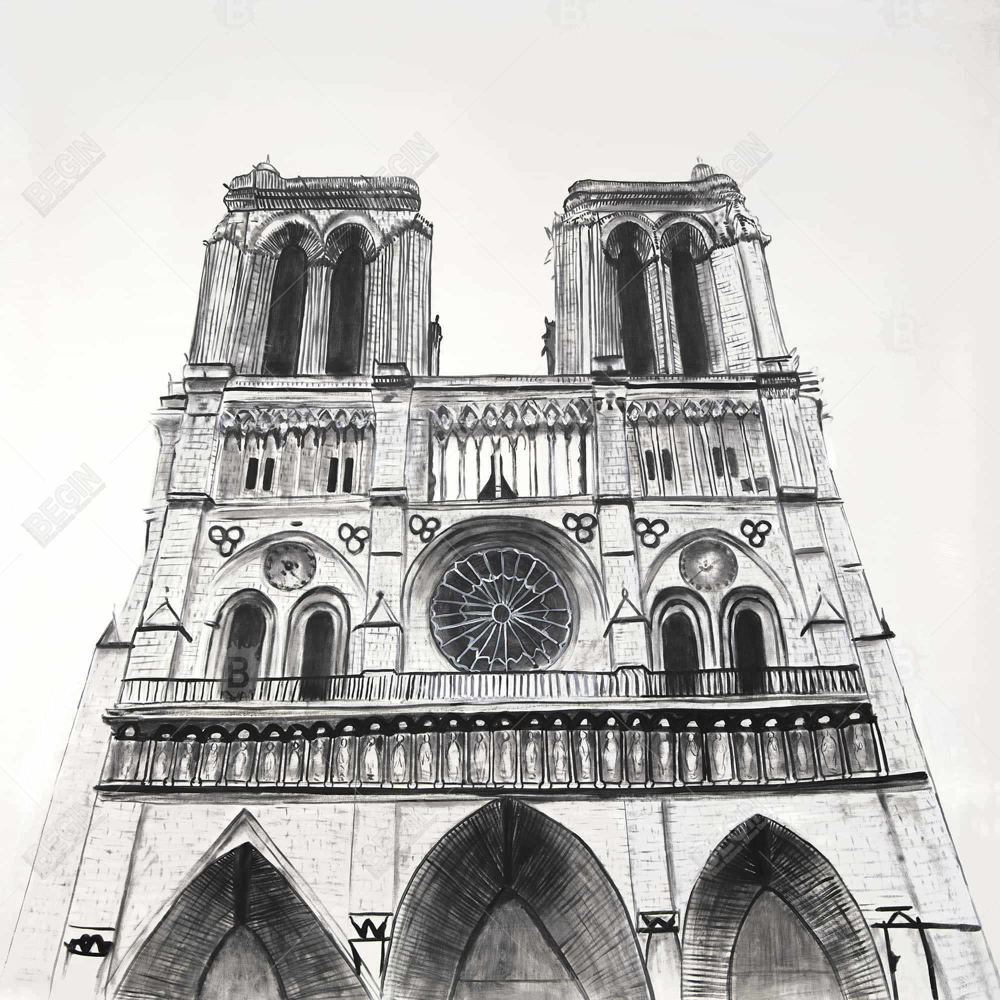 Cathédrale notre-dame de paris