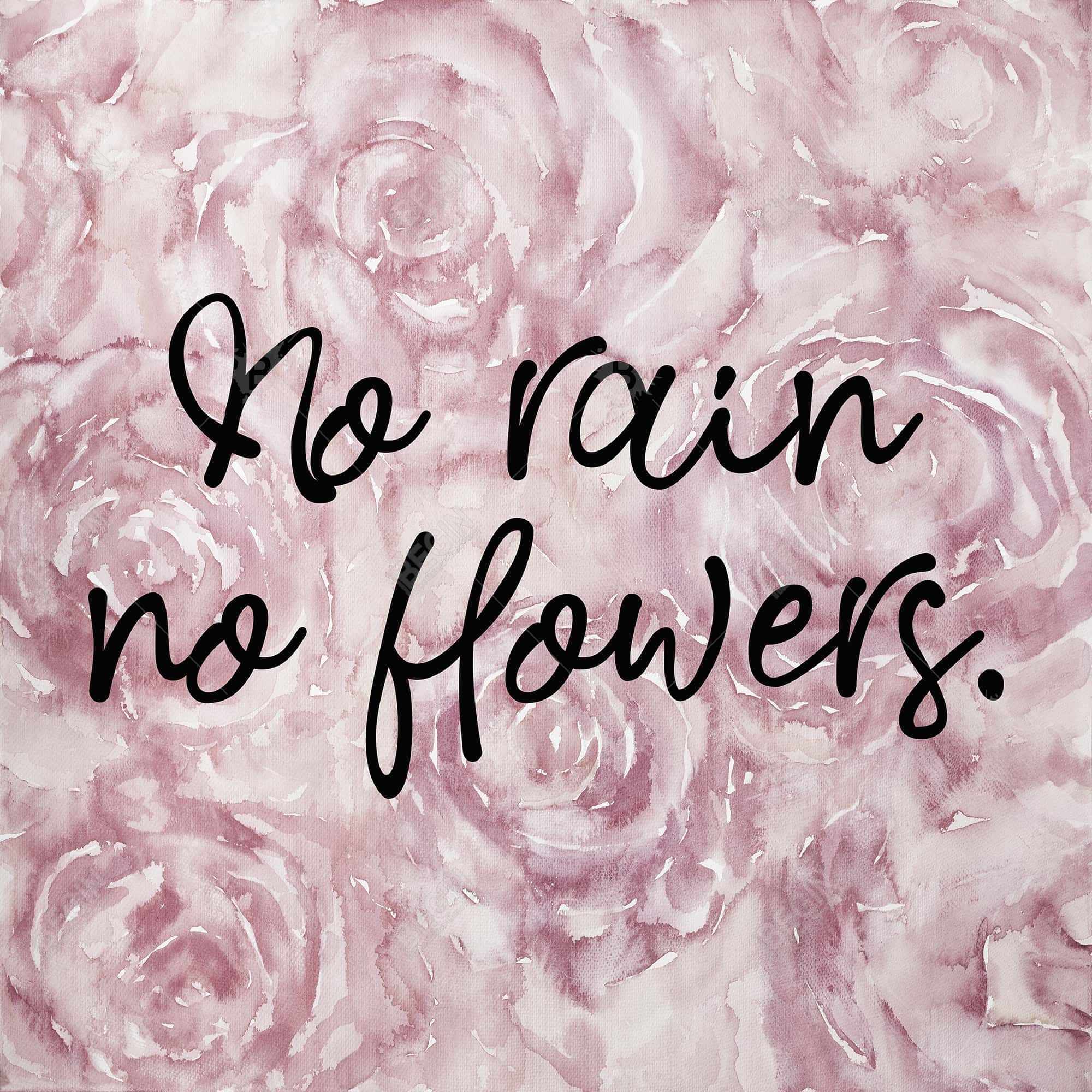 No rain no flowers