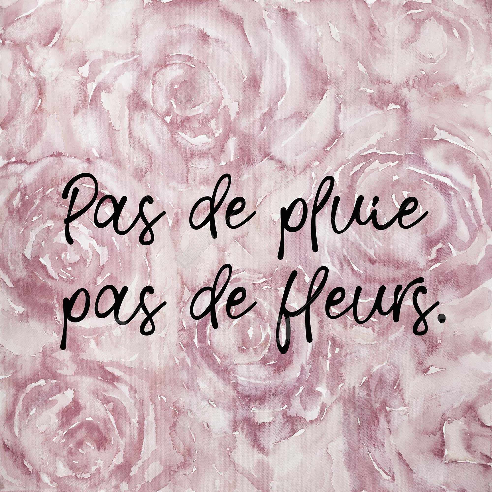 Pas de pluie pas de fleurs