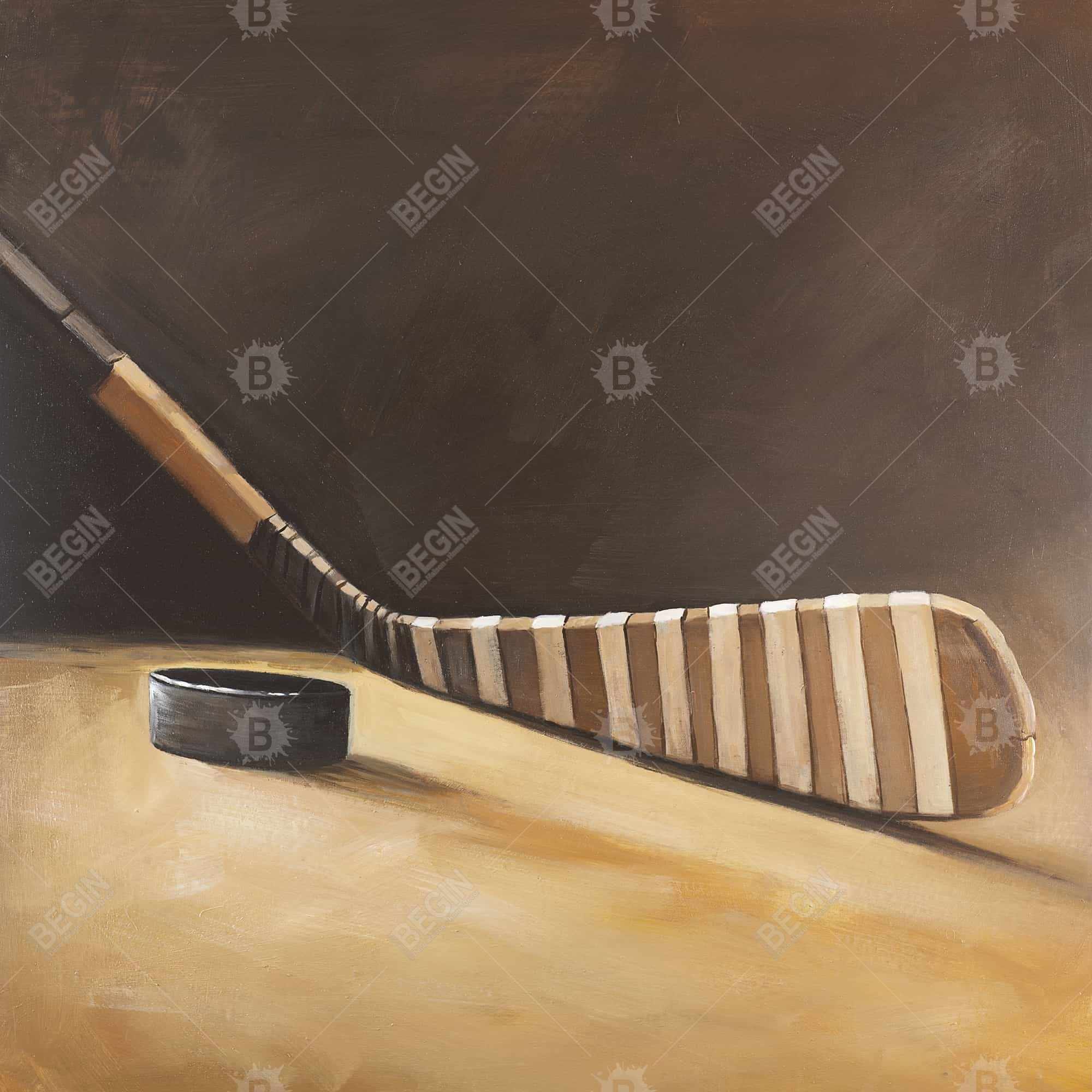 Stick and hockey puck