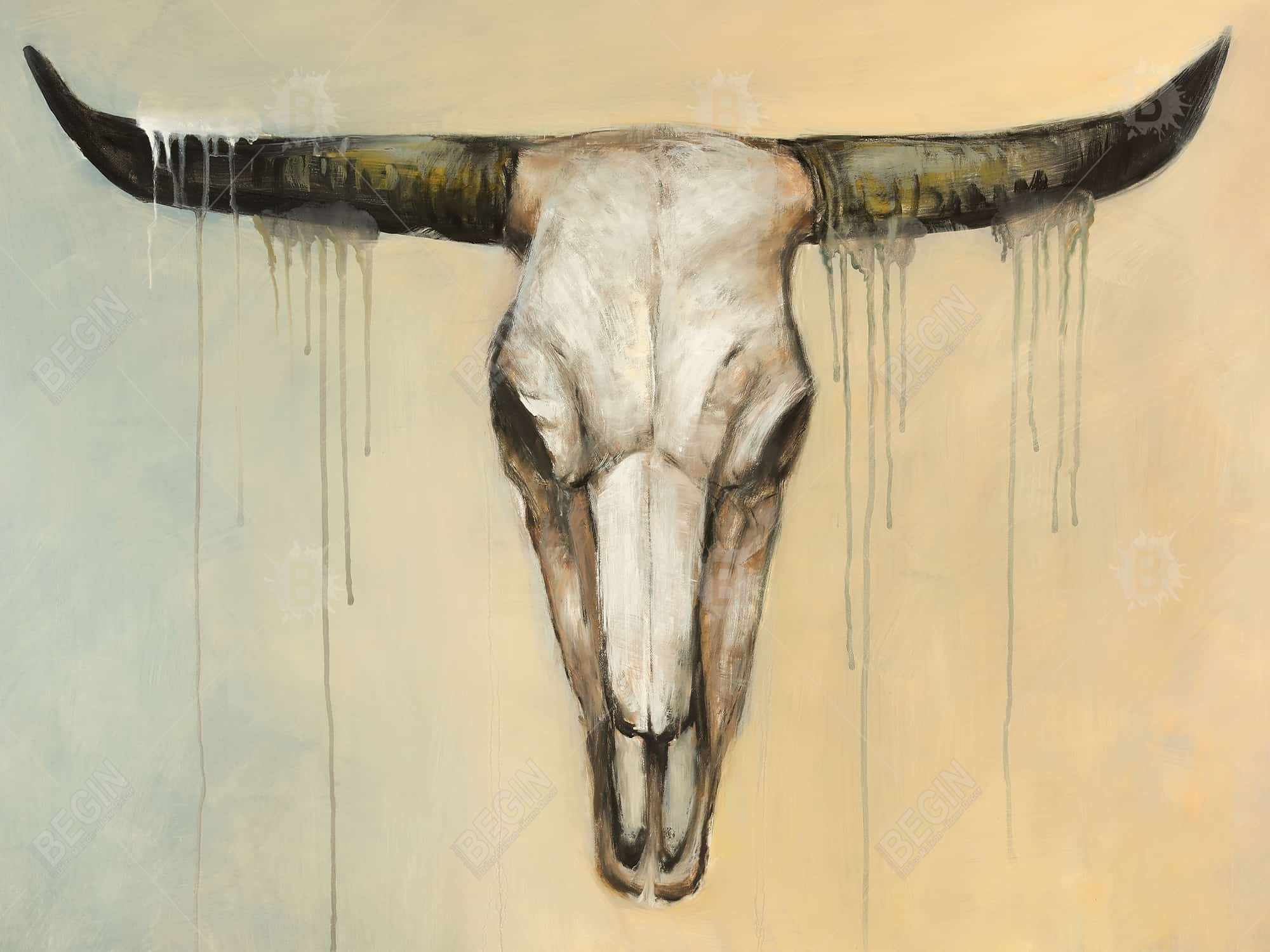 Bull skull Fine art print on canvas 48" x 48"