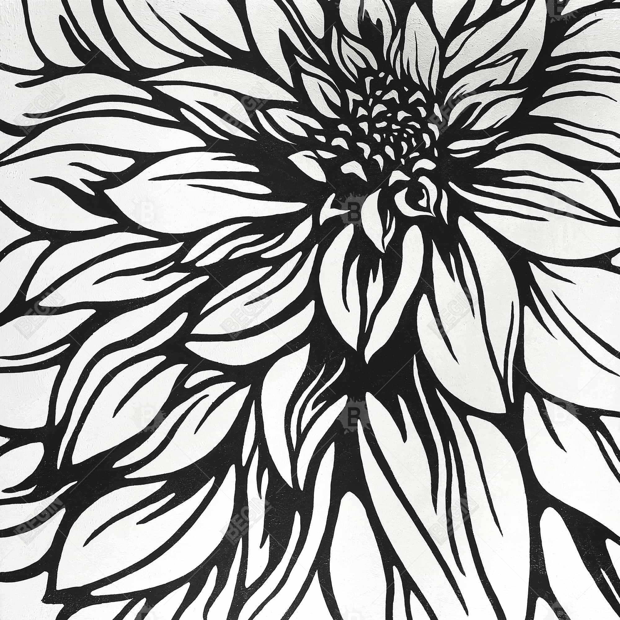 Dahlia flower outline style